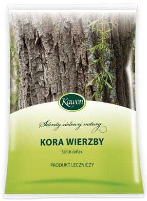 Kora-wierzby.jpg
