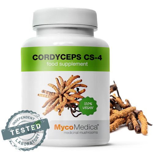 cordyceps-cs-4-detail-s-razitkem-kopie.1025759333.jpg
