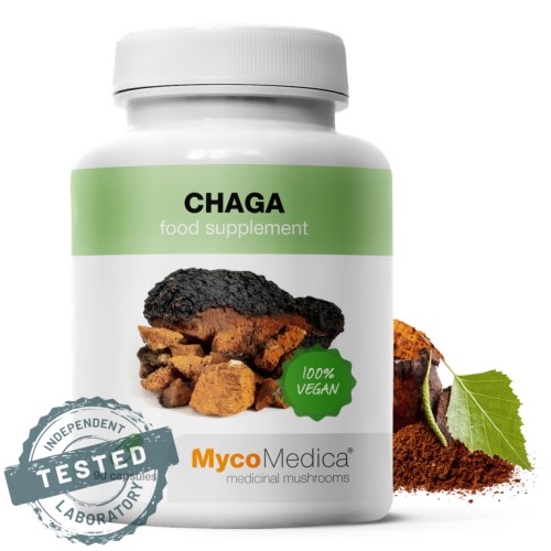 chaga-detail-s-razitkem-kopie-5.3478291057.jpg