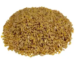 Len złocisty 1kg ziarno Astron kraj pochodzenia POLSKA