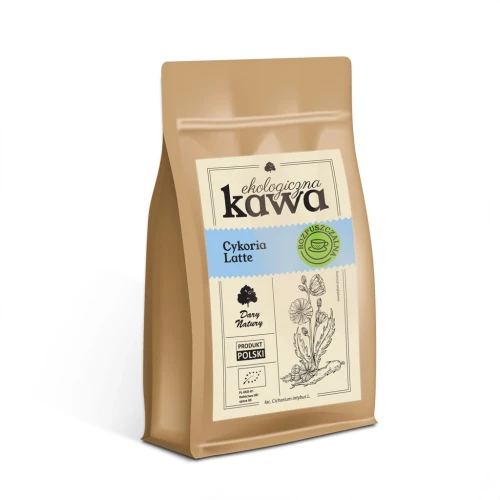 kawa-z-korzenia-cykorii-latte.webp