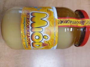 Miód Wielokwiatowy rzepakowo-gryczany 1200g Karpacki Miś