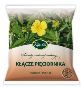 Pięciornik kłącze 50 g Kawon.Środek spożywczy