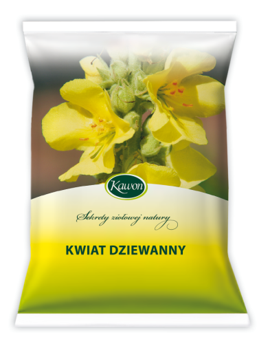 kwiat_dziewanny.png