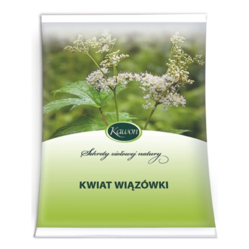 500px_Kwiat Wiązówki.jpg