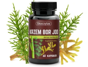 KRZEM BOR JOD skrzyp, bambus, algi Skoczylas 60 kaps