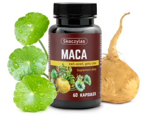 korzeń maca gotu cola skoczylas potencję.webp
