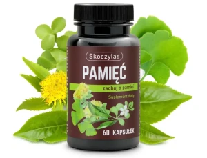 PAMIĘĆ miłorząb, bakopa, ginkgo biloba, różeniec 60 kaps Skooczylas