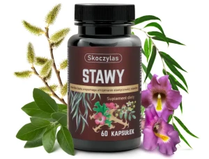 STAWY kadzidłowiec, wierzba, ashwagandha, hakorośl, 60 kaps Skoczylas