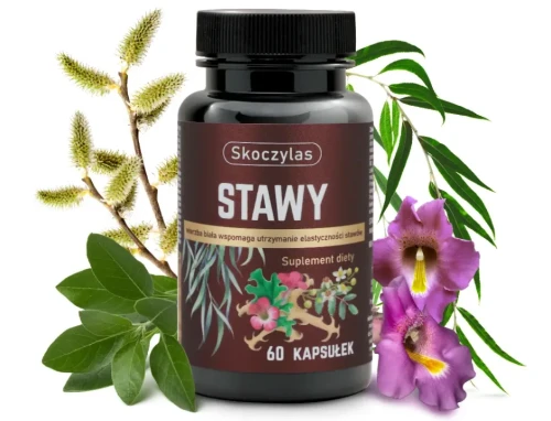 stawy skoczylas super.webp