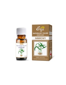 Olejek Imbirowy 10ml Etja