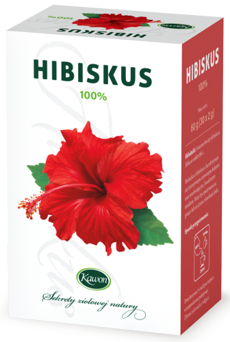 Hibiskus_wiz-1-e1706609458380.png